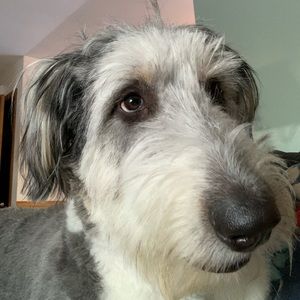 Meet your Posher, Kellie